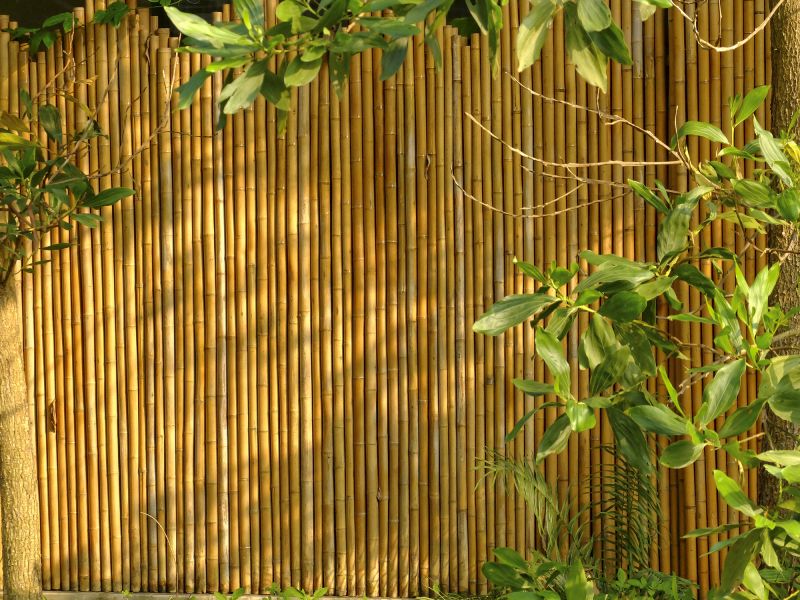 Bamboo Privacy Fencing