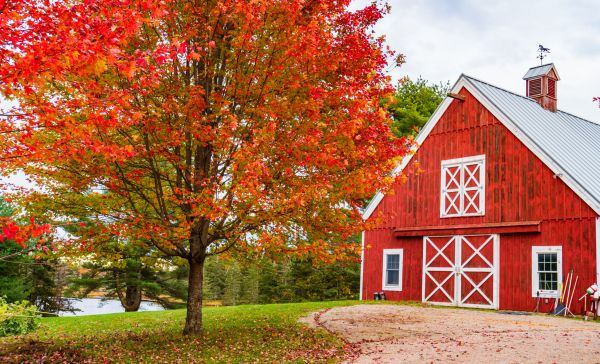 Barn Door Remodeling