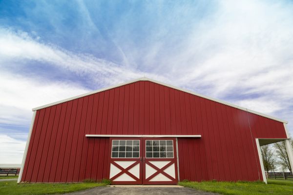 Barn Door Restoration
